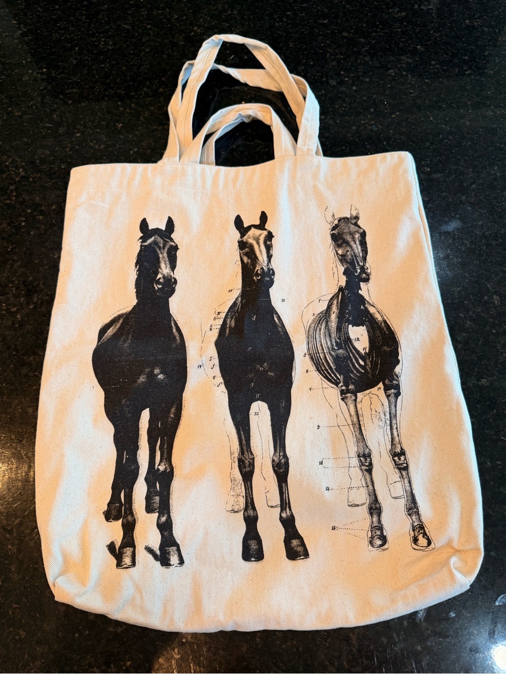 Rubyzaar Jumbo Organic Cotton Canvas Massive Horse Tote